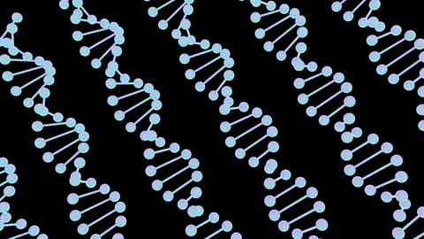DNA helix molecule spin strand. Genetic engineering. Stock Footage 115320353