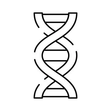 Dna helix molecule structure icon genetic research Stock Illustration