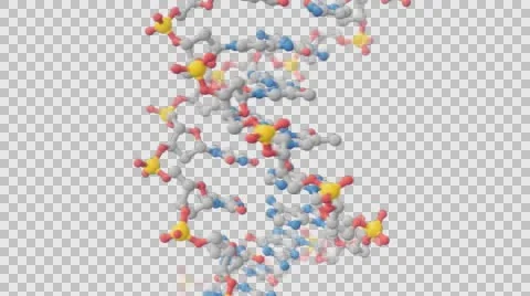 DNA helix over transparent background Stock Footage 62627968