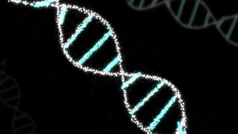 DNA helix pattern matching colorful animation Stock Footage 323170905