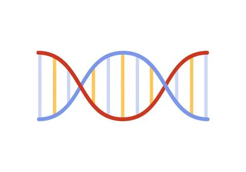 DNA helix, scientific model of molecule with spiral structure イラスト素材