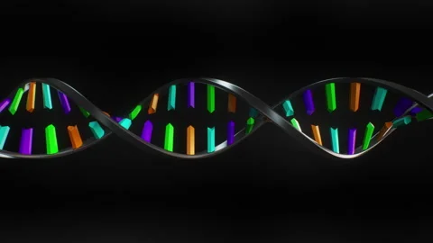 DNA Helix Strand Building Sequence  Video stock 163875636