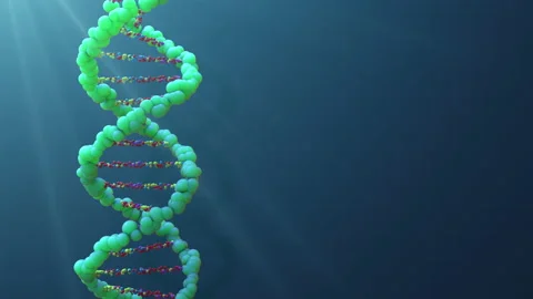 Dna helix strand rotating on the dark blue background with blank copy space Stock Footage