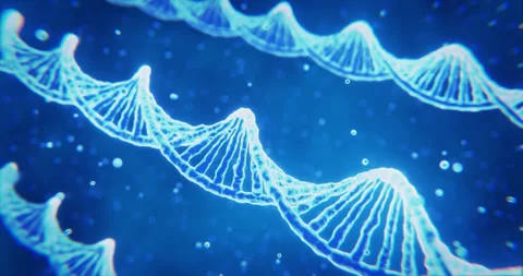 DNA helix structure animation Stock Footage 335448103