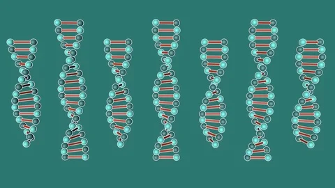 DNA helix structure. Cell shading background. 動画素材 126285083