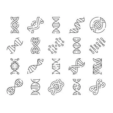 Dna helix structure collection for science and genetics Stock Illustration