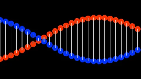 DNA Helix Structure Digital Science  Stock Footage 331649642