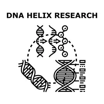 Dna helix structure exploring genetic research and analysis Stock Illustration