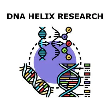 Dna helix structure exploring genetic research and analysis Stock-Illustration