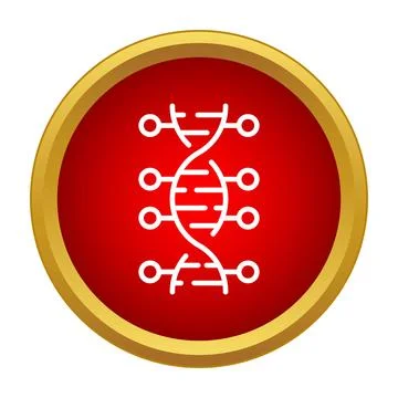 Dna helix structure gene sequence in red circle Stock Illustration