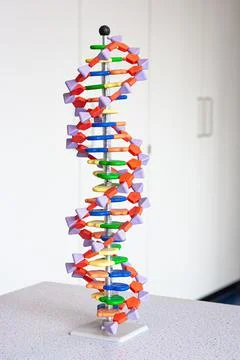 DNA Helix Structure Stock Photos
