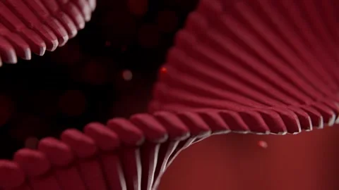 Dna Helix Structure Rotating with Floating Red Particles in Dark Background 库存影片 331110017
