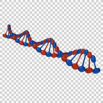 DNA Helix Structure transparent background イラスト素材