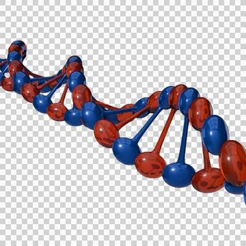 DNA Helix Structure transparent background イラスト素材