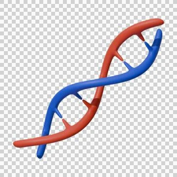 DNA Helix Structure transparent background イラスト素材