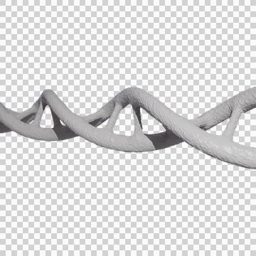 DNA Helix Structure transparent background 스톡 일러스트
