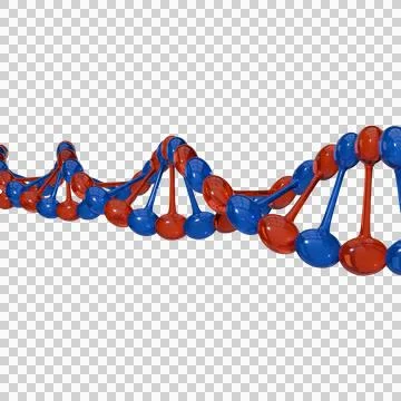 DNA Helix Structure transparent background イラスト素材