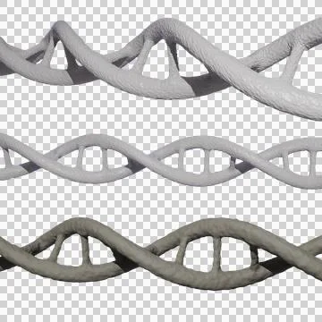 DNA Helix Structure transparent background イラスト素材