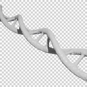 DNA Helix Structure transparent background イラスト素材