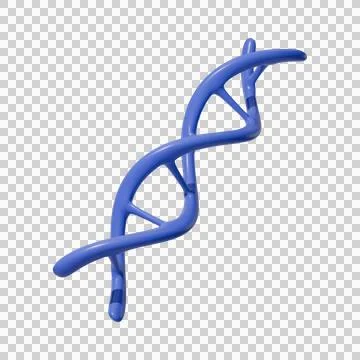 DNA Helix Structure transparent background イラスト素材