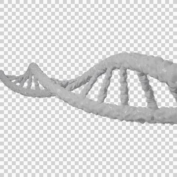 DNA Helix Structure transparent background イラスト素材