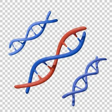 DNA Helix Structure transparent background Stock Illustration