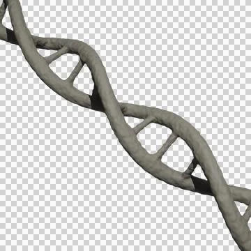 DNA Helix Structure transparent background イラスト素材