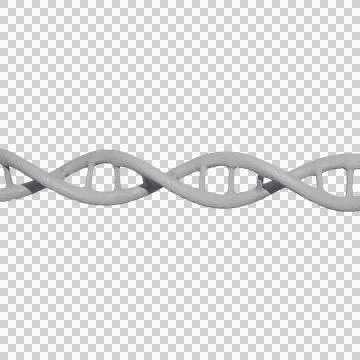 DNA Helix Structure transparent background イラスト素材