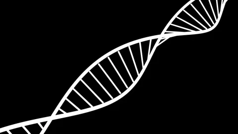 DNA Helix Twisting in Motion 動画素材 341776959
