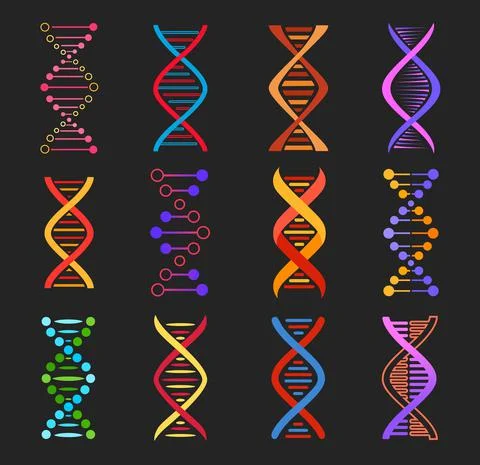 DNA helix vector icons of genetics medicine 스톡 일러스트