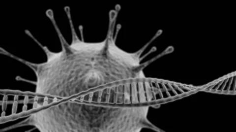 DNA helix with virus on black background (HD video 1080) Stock Footage 50958233
