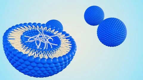DNA helixes inside of liposome Stock Footage 268951411