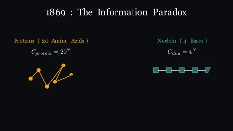 DNA History And Structure Видео 339026773