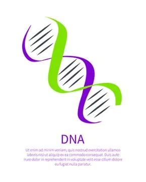 DNA Icon of Genetic Code, Deoxyribonucleic Acid Stock Illustration