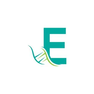 DNA icon logo with letter E template design Stock Illustration