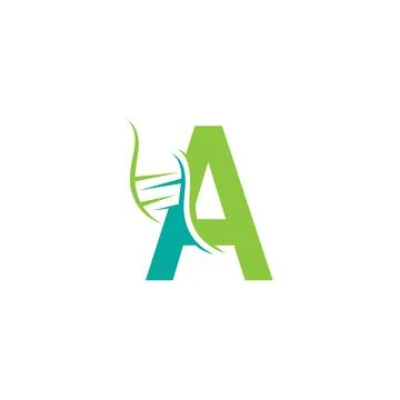DNA icon logo with letter A template design Stock Illustration