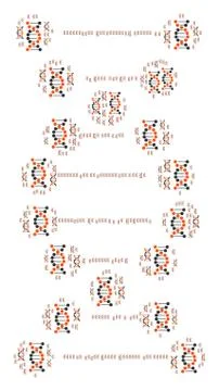 DNA Icon Shape 스톡 일러스트