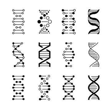 DNA icons. Genetic structure code, DNA molecule models isolated on white Illustrazione stock