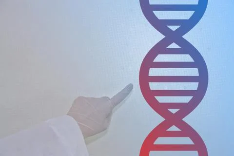 Dna Stock Illustration