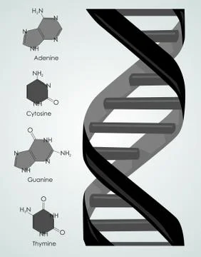 Dna Stock Illustration