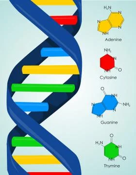 Dna Stock Illustration