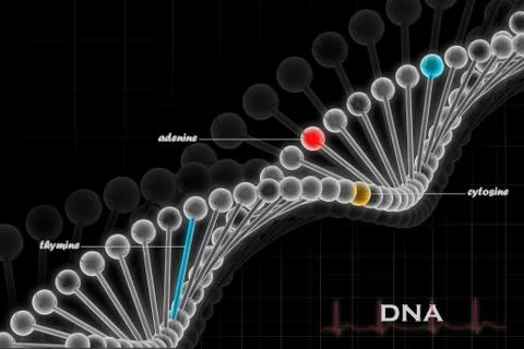 Dna. Stock Illustration