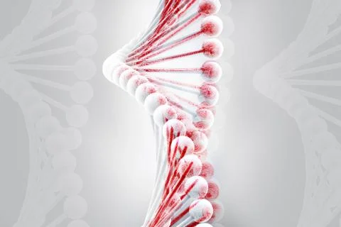 DNA Illustrazione stock