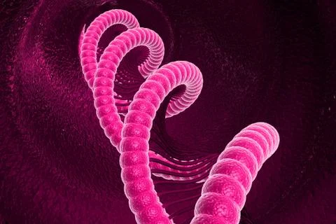 DNA Stock Illustration