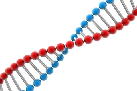 Dna.. Illustrazione stock