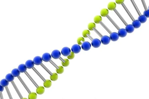 Dna.. Stock Illustration