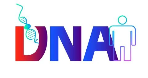 DNA, illustration, vector DNA shapes illustration. Stock Illustration