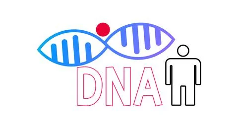 DNA, illustration, vector DNA shapes illustration. Stock Illustration