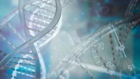 The DNA image for sci or education concept 3d rendering イラスト素材