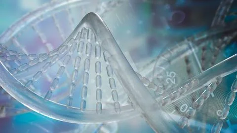 The DNA image for sci or education concept 3d rendering Stock Photos